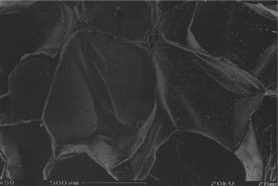 Close-up illustration of small gas-filled cavities within a closed-cell insulation material.